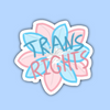 Trans Rights Sticker